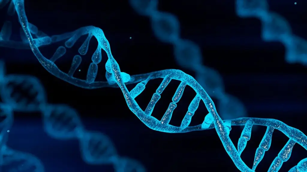 DNA TEST DUBAI_DNA TESTING UAE