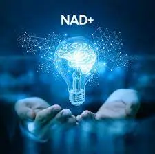 NAD IV At Home Dubai