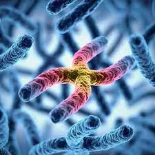 telomere test Biological age testing